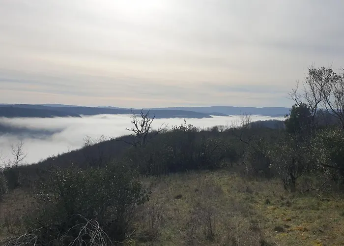 Seuls En Pleine Nature - La Côte Blanche *