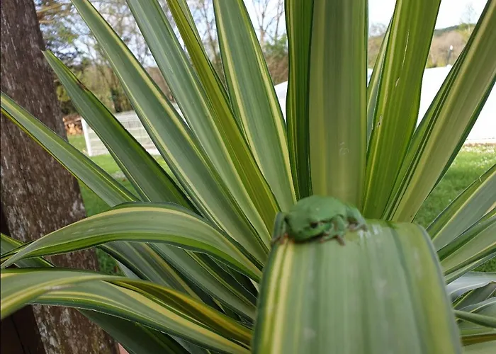 Seuls En Pleine Nature - La Côte Blanche Puygaillard-de-Quercy