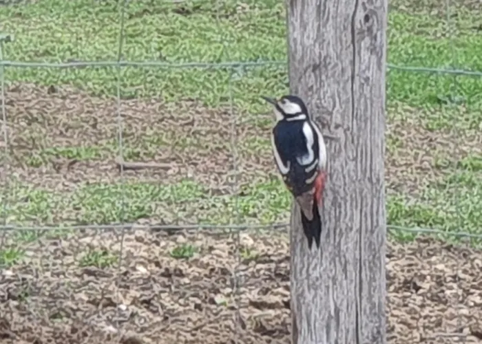 Seuls En Pleine Nature - La Côte Blanche