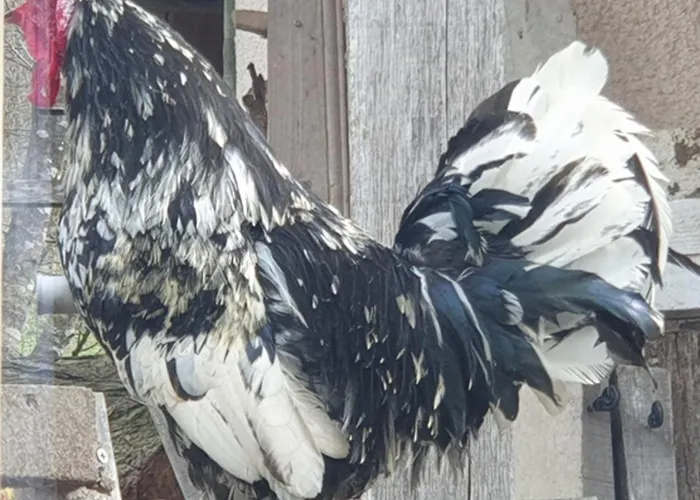 Seuls En Pleine Nature - La Côte Blanche Hébergement de vacances *