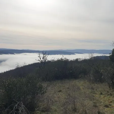 Seuls En Pleine Nature - La Cote Blanche *