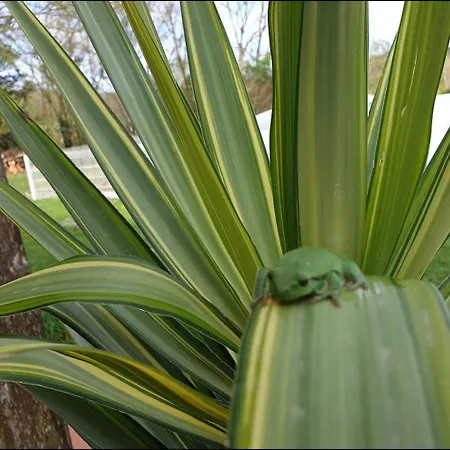 Seuls En Pleine Nature - La Cote Blanche Puygaillard-de-Quercy
