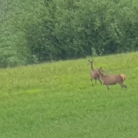 Feriehus Seuls En Pleine Nature - La Cote Blanche