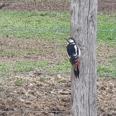 Seuls En Pleine Nature - La Cote Blanche