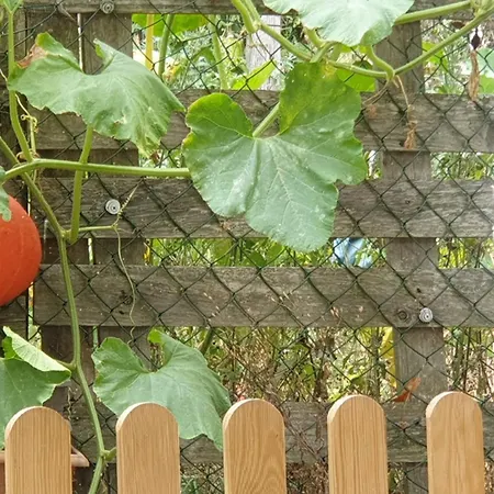 Seuls En Pleine Nature - La Cote Blanche Puygaillard-de-Quercy