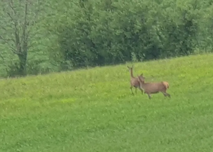 別荘 Seuls En Pleine Nature - La Cote Blanche