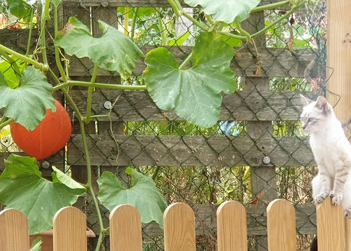 Seuls En Pleine Nature - La Cote Blanche Puygaillard-de-Quercy